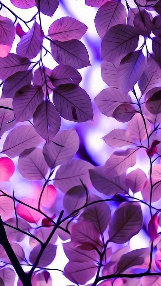 Purple leaves. Beautiful nature iPhone wallpapers. Tap to find more iPhone wallpapers/backgrounds that you like. - @mobile9