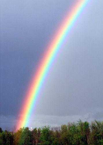 Rainbow - God's Promise