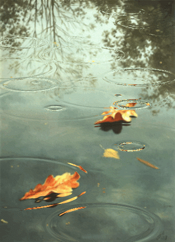 Raindrops in Autumn rain storm water animated autumn gif drops