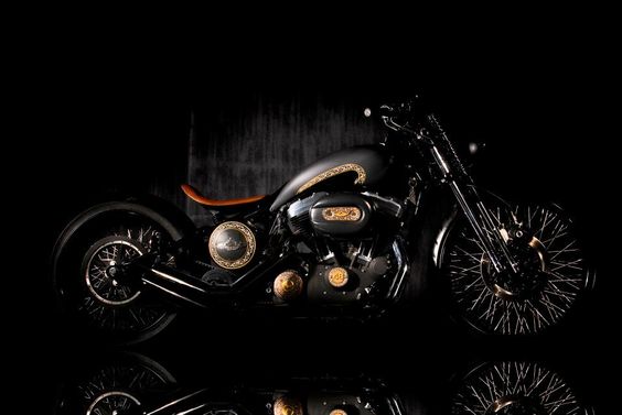 Rajamata Harley 48 by Rajputana Custom Motorcycles
