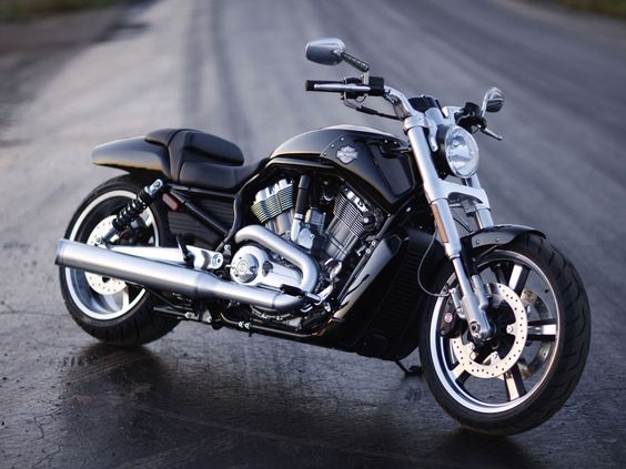Sexy-Harley Davidson V Rod Muscle
