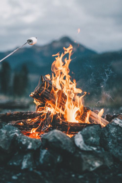 Sharing stories (aka. social currency) creates a bond between the brand and its followers. Like a bond fire, people can connect through stories and life experience. This in turn will create an authenticity to the brand and give the brand personality and be personable.