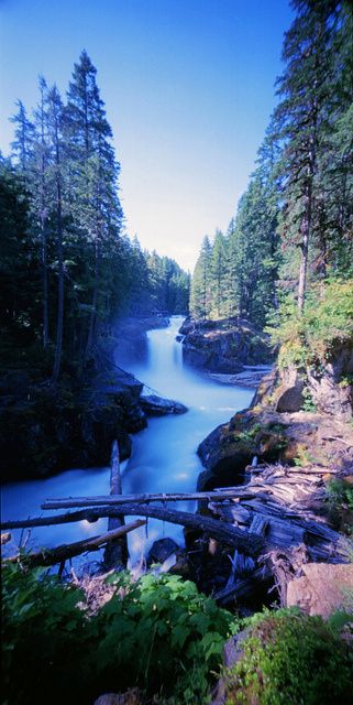 Silver Falls Trail, Mount Rainier National Park, Washington State.