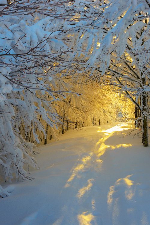 Snowy sunrise | by Adamadam s on Flickr