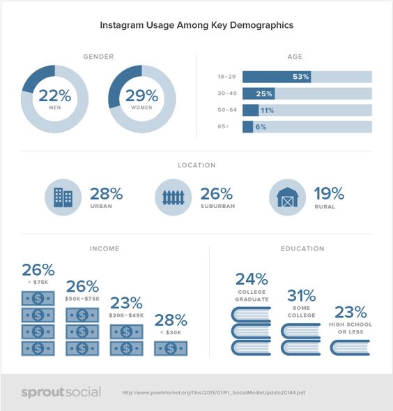 Social Demographics Instagram