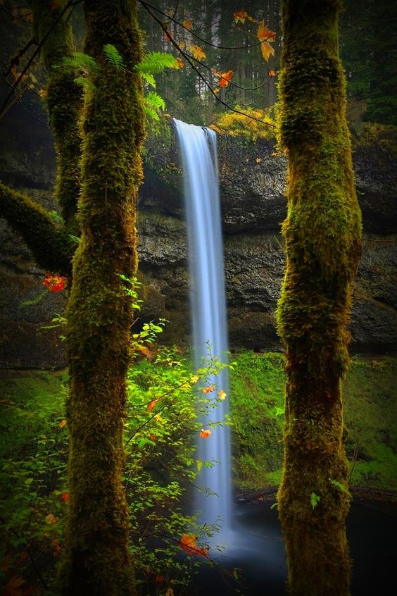 South Falls, Silver Creek State Park, Silverton, Oregon. Photography By : Tula Top