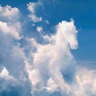 stallion in the sky, wow hmmm, jesus comes back riding a white horse, maybe this is a sign to wake people up???? is that a invisible rider on that horse, you can see an out line image