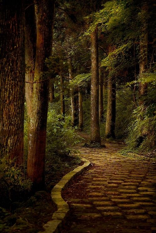 Stone Path, Hakone, Kanagawa, Japan