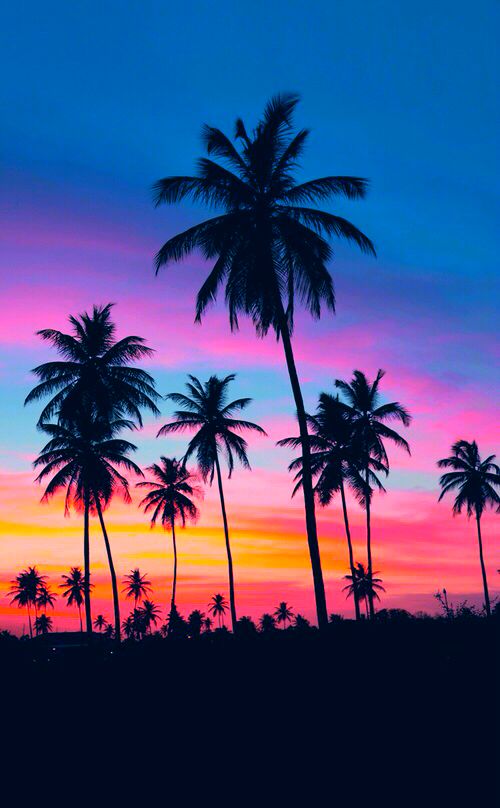 Summer Sunset photography sunset beach beautiful ocean tropical travel palm trees vacation