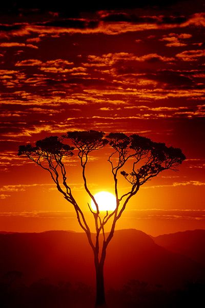 Sunset In Africa #Africa, #sunsets, #nature, 