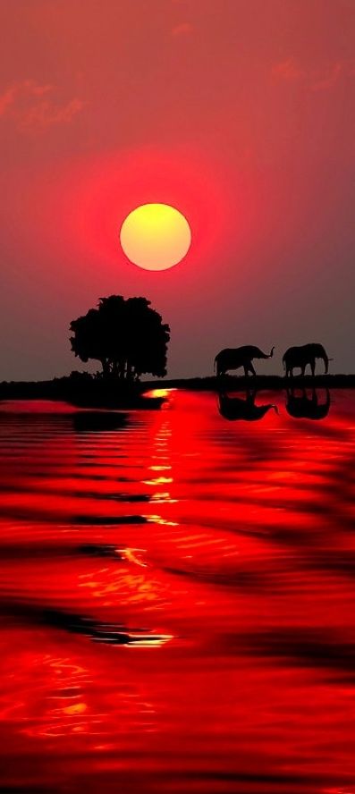 Sunset in Botswana • photo: Michael Sheridan on Redbubble