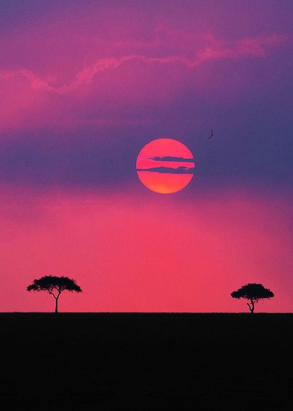 Sunset over the Maasai Mara game reserve, Kenya