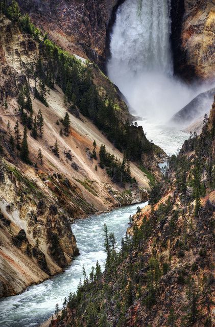 The Falls, Yellowstone National Park