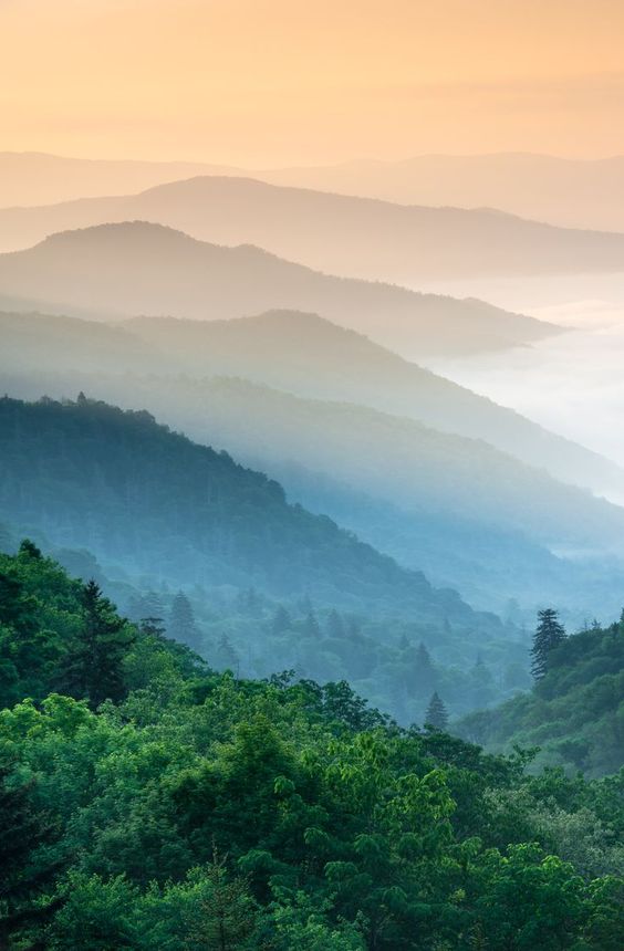 The Great Smoky Mountains National Park is full of such beauty and peace. What's not to love?