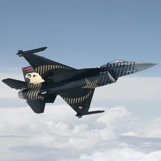 The Turkish Air Force Soloturk