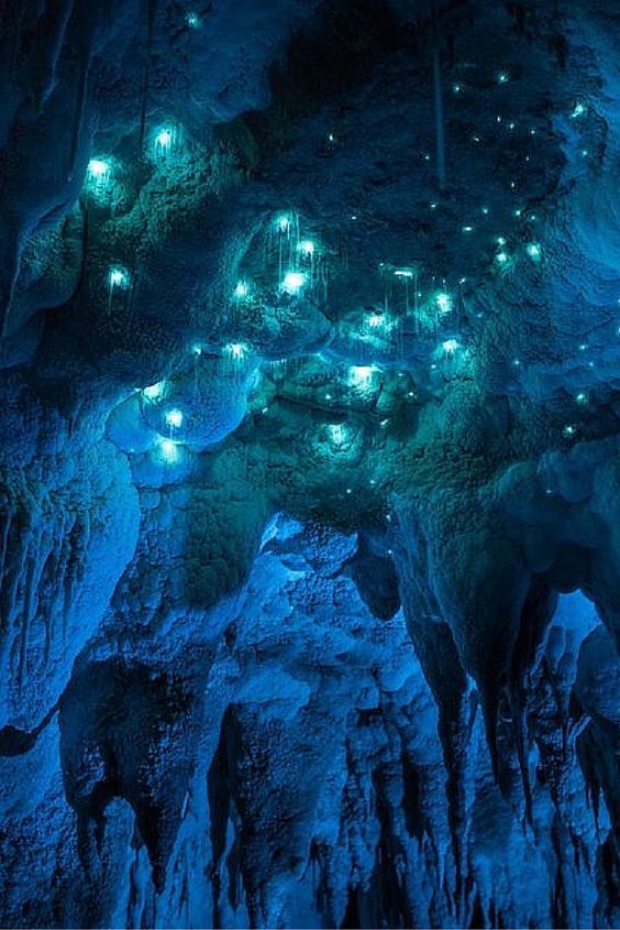 The Waitomo Glowworm Caves are a must see on any trip to New Zealand. They are INCREDIBLE! Click through to read the full post!