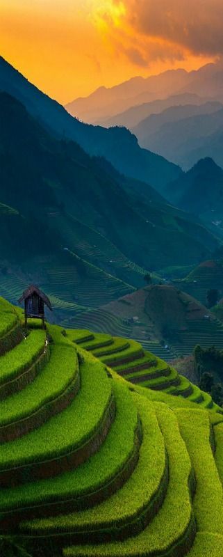 Top 16 Outstanding Places: Sunset of Rice Terrace @ Mu Cang Chai, Vietnam 50% off airfare on #AirConcierge