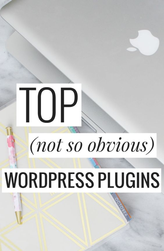Top (not so obvious) WordPress Plugins - great list!