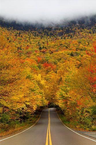 Tree Tunnel, Smuggler’s Notch State Park, Vermont