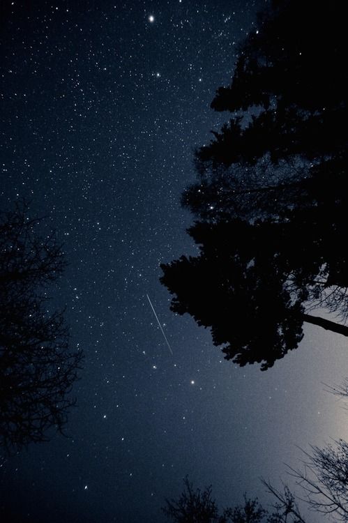 Under the stars.  #stars #night #photography #1816 #remington