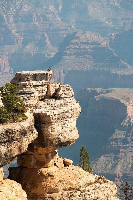 USA, Arizona, Grand Canyon