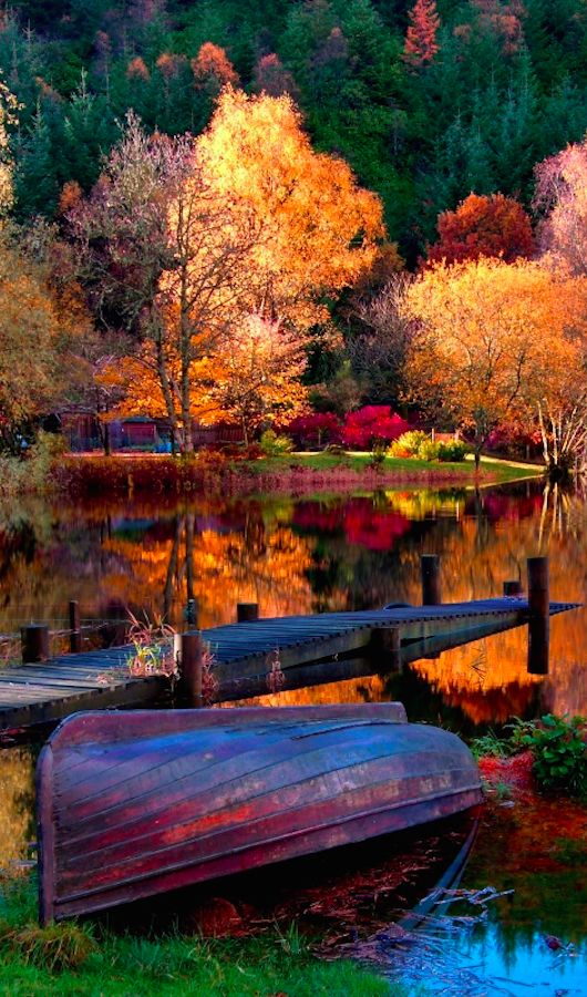 Vibrant autumn lake scene