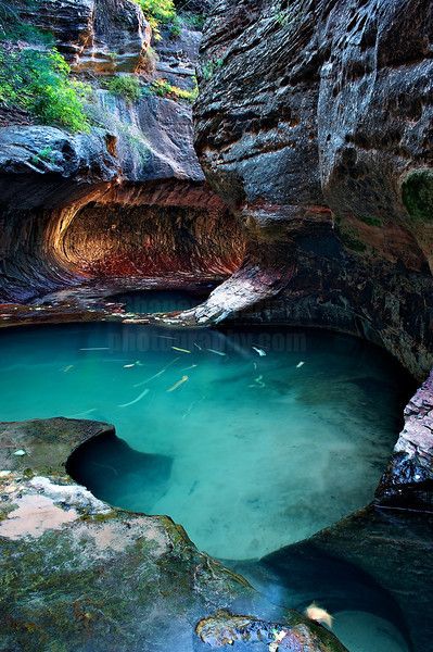 Well of Secrets, Zion National Park, UT by Shane McDermott