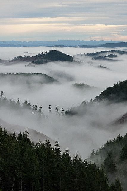 Willamette Valley in Oregon