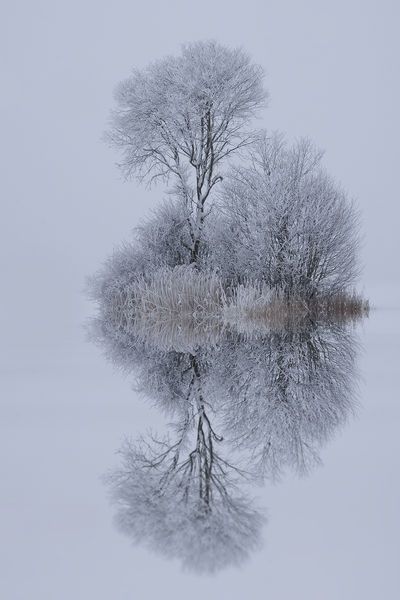 winter reflection!