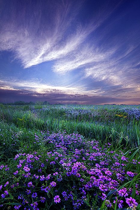 Wisconsin Horizons By Phil Koch.