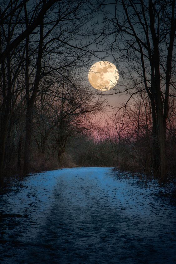 ~~Wolf Moon Winter Path by Jim Crotty by Jim Crotty~~