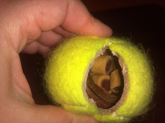 10 Brilliant Hacks Every Dog Owner Should Know: Fill a tennis ball with treats!
