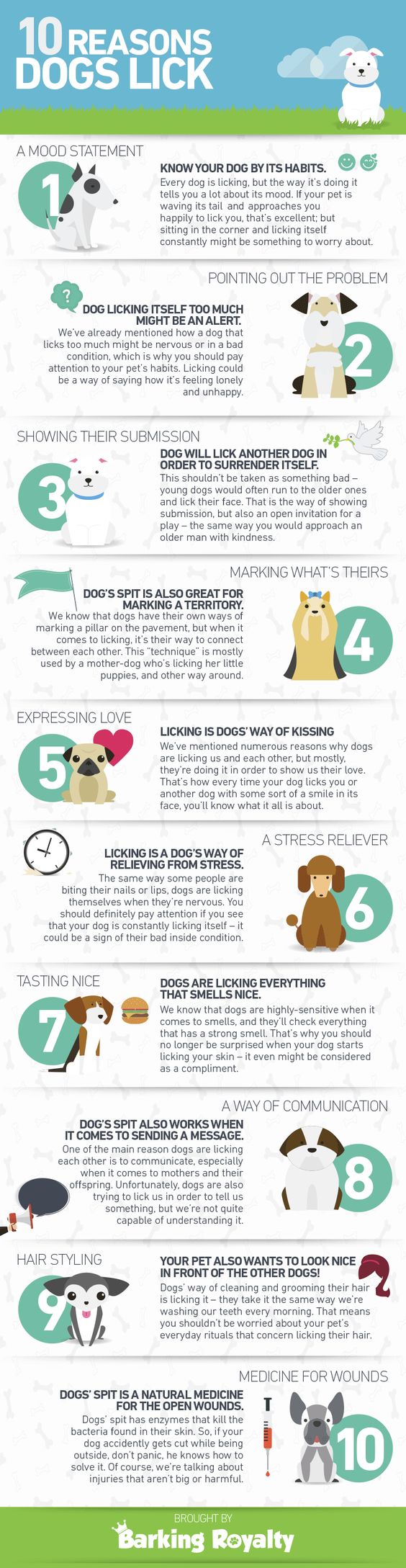10 Reasons Why Dogs Lick Infographic
