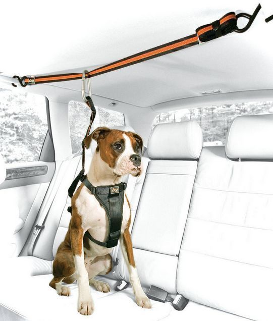 10 Useful Car Accessories for Road-Tripping with Your Pooch. Dog lovers you NEED to see
