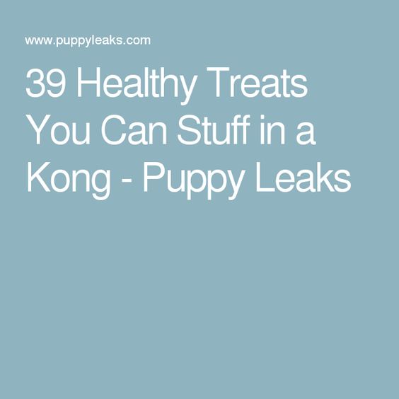 39 Healthy Treats You Can Stuff in a Kong - Puppy Leaks