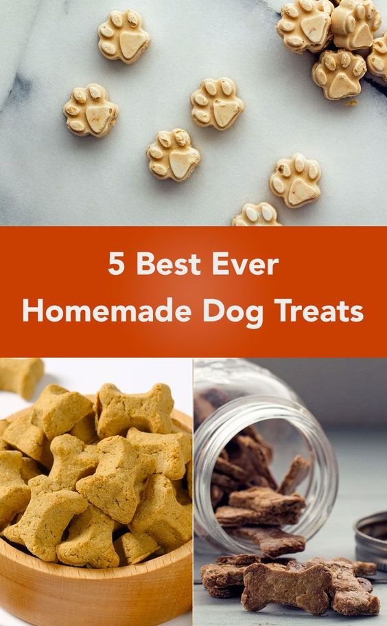 5 Best Ever Homemade Dog Treats