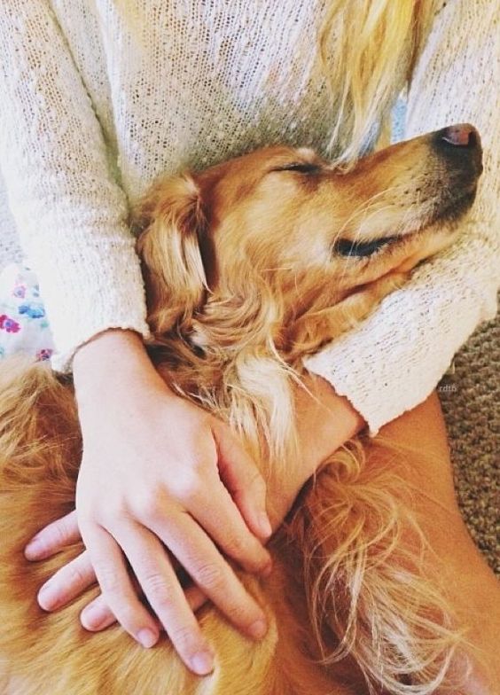 8 Signs That Your Dog Actually Loves You