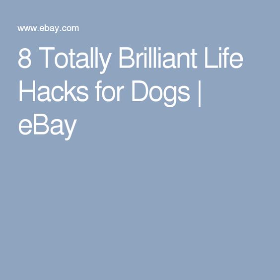 8 Totally Brilliant Life Hacks for Dogs | eBay