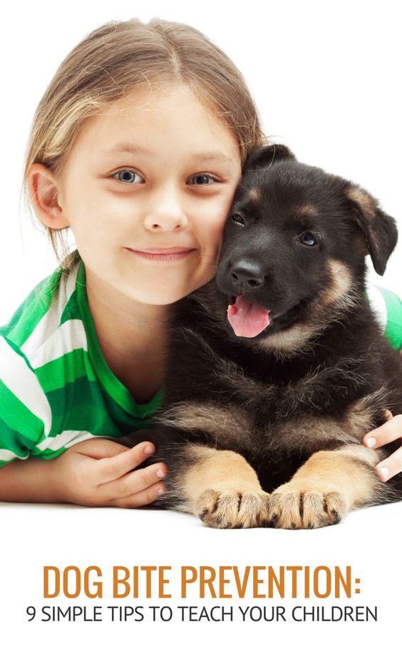 9 Simple Tips for Teaching Dog Bite Prevention to Children