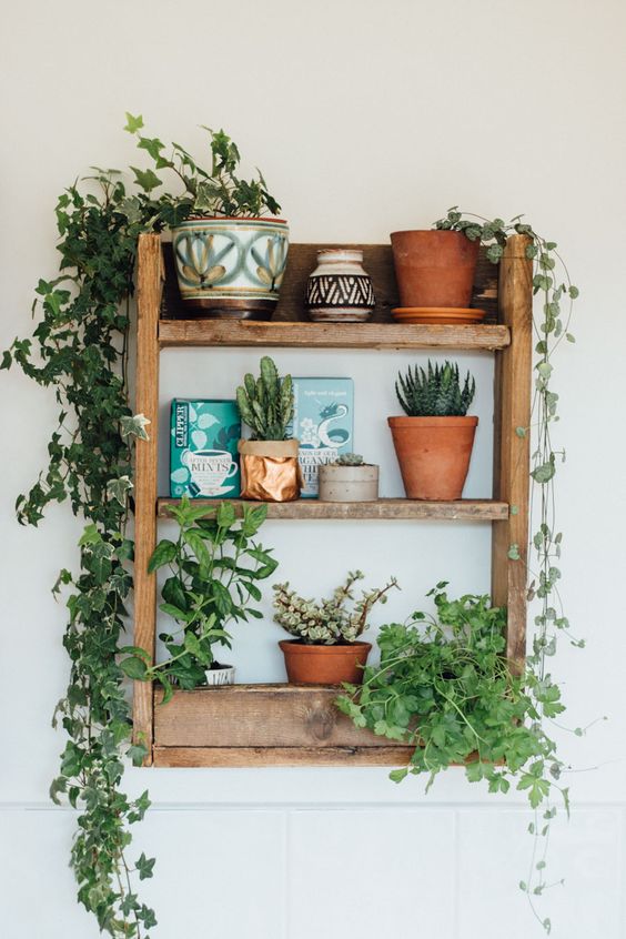 A beautiful and simple kitchen shelf, made from rustic pallet wood to hold herbs and capture the fascinating magic of plants.
