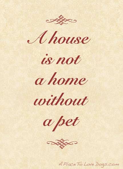 A house is not a home without a pet.