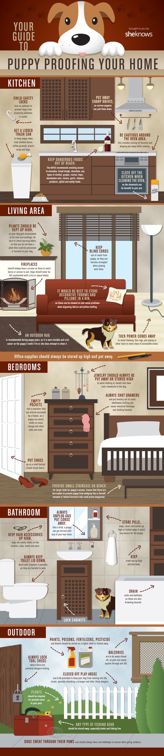 A list of everything you need to cover and move to make your home puppy-proof