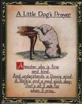 A little dog's prayer