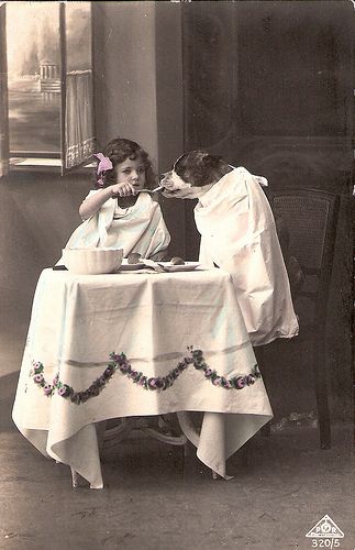 A little girl and her dog play tea party