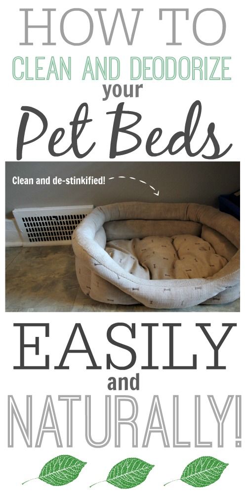 A quick tip for cleaning smelly pet beds using natural ingredients!