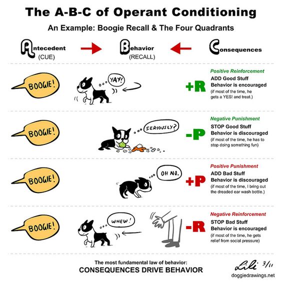 ABC of Operant Conditioning - Illustration by Lili Chin