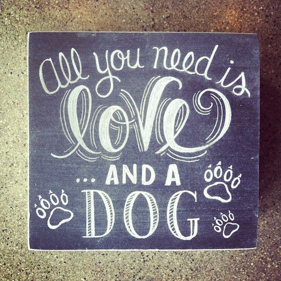 All you need is  and a dog.