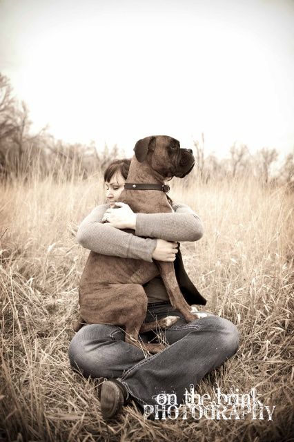 Always a lap dog & best friend Boxer, pup, portraits, On The Brink Photography