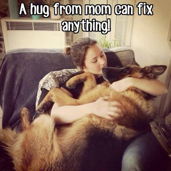 Always does! #dogs
