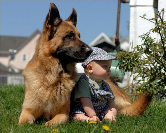 always protecting #GSD